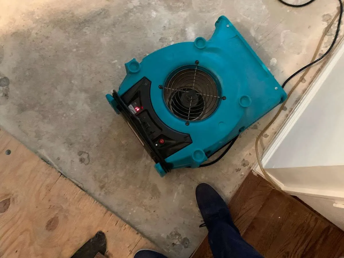 Air mover drying subfloor during Leak Detection & Repair in Butler